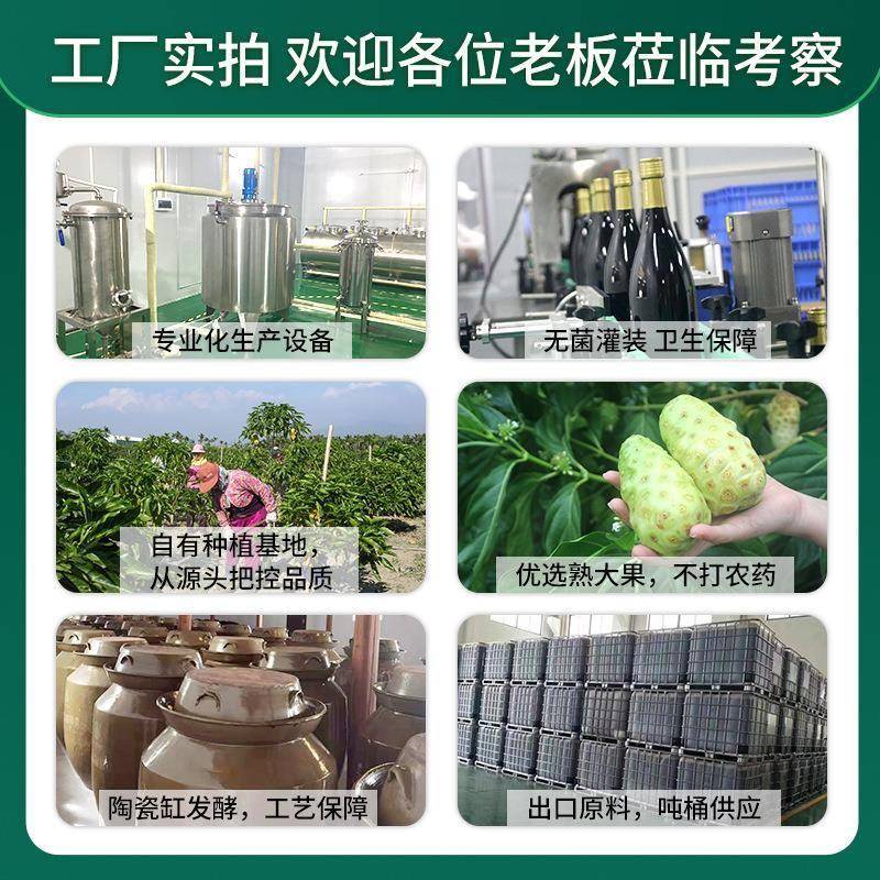 海南诺丽果干粉超微粉诺尼粉速溶果粉大溪阳光地诺丽原料