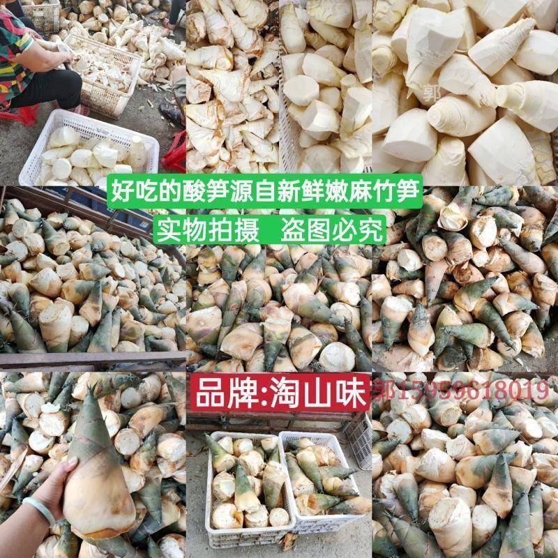 厦门人泉州人福州尚爱吃的酸笋福建特产小吃螺蛳粉酸竹笋三斤包邮