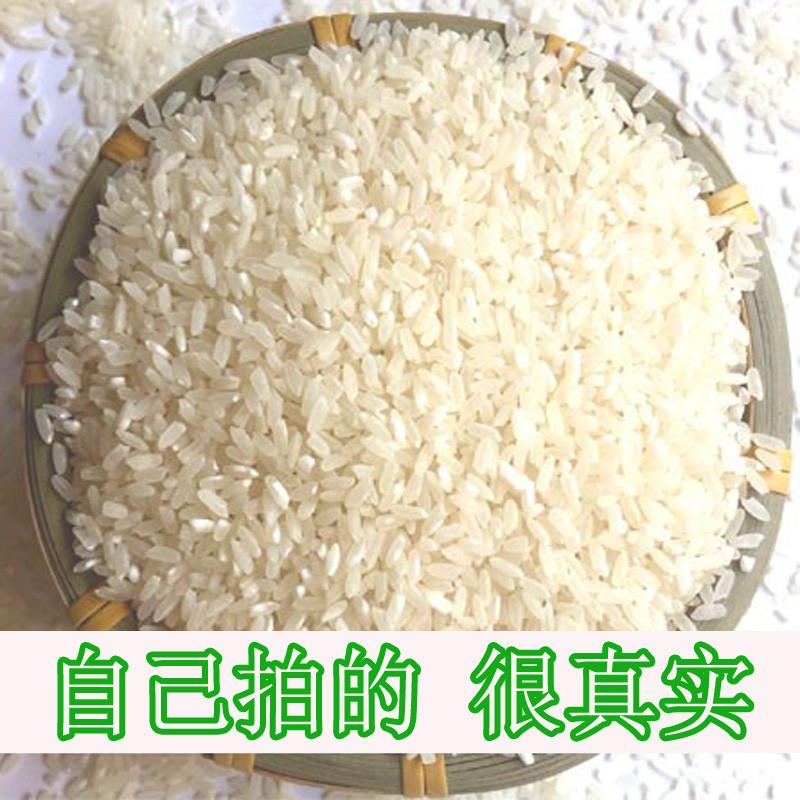 年货今年新米超大米东北大