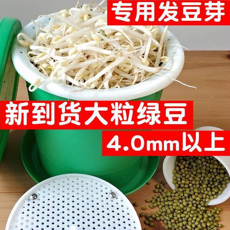 新货发豆芽专用绿豆5东北