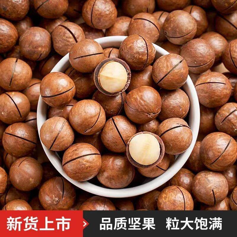 新货夏威夷果奶油味大颗粒1000g含罐装休闲零食坚果整箱礼包