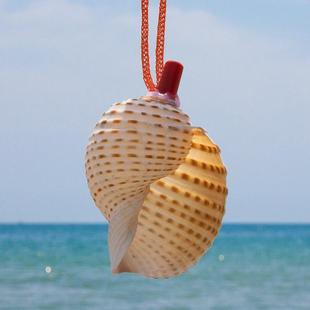 推荐天然海螺号喇叭口哨儿童吹号玩具小螺号创意礼物大海螺号角