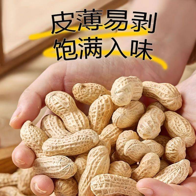 精选新货5斤珍珠小花生带壳蒜香卤味熟花生香酥坚果休闲零食小吃