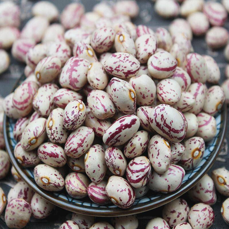 新品大雀蛋豆奶花豆贵州农家自种花生豆酸菜豆米花豆花豆五谷杂粮