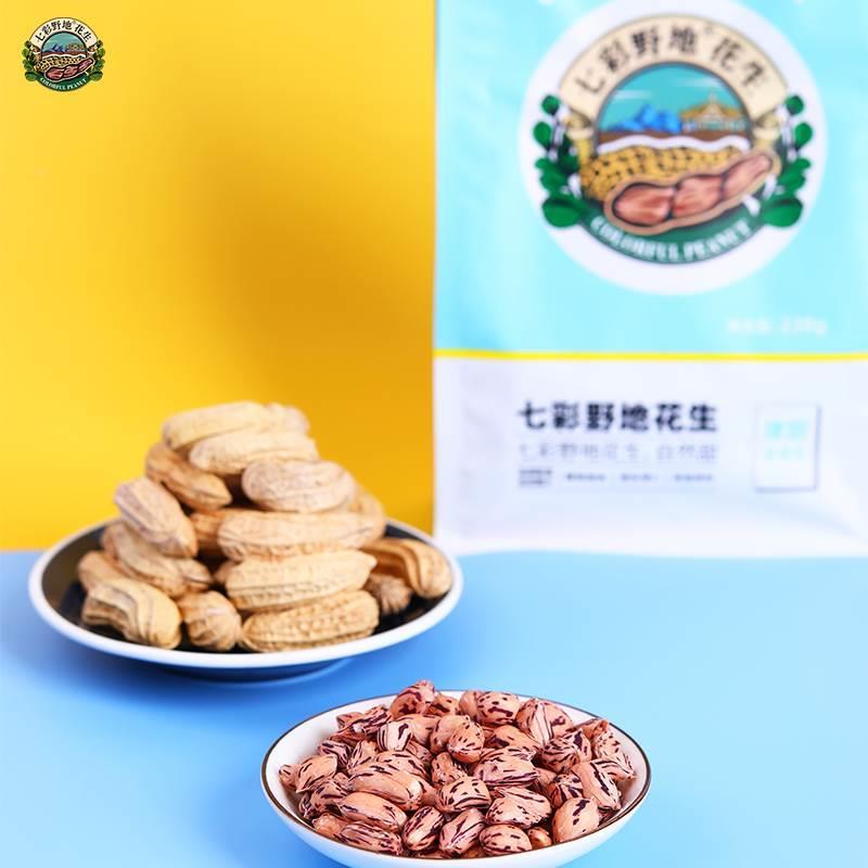 今年的2024年新花生米优质精品七彩花生新货云南七彩花生旗舰店