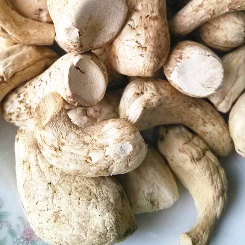 向老伯500g 双剪大香菇脚干香菇丝 商用香菇腿干货冬菇柄花菇脚