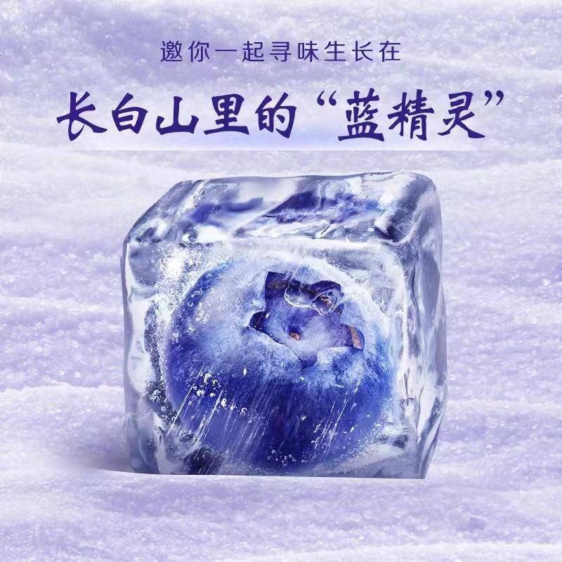 新货安慕希AMX长白山蓝莓奶昔味酸奶230g*10瓶整箱营养早餐奶包邮