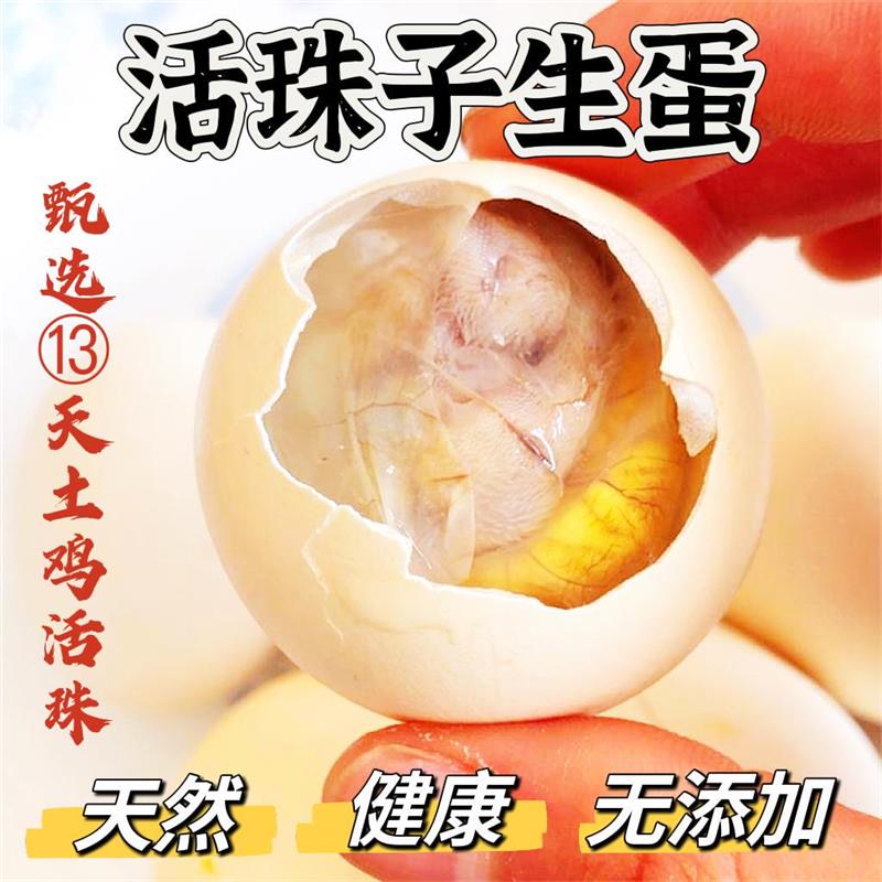 13天活珠子生的钢化蛋鸡胚