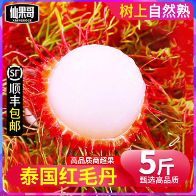 红毛丹新鲜整箱毛荔枝毛丹果