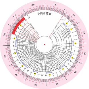 预产期转盘 孕妇孕周盘 孕周表 孕期怀孕转盘 R孕周推算盘 孕周卡