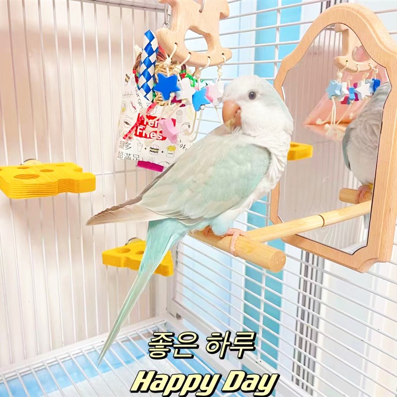 鹦鹉爱美镜子站杆玩具磨爪实木站架玄凤牡丹虎皮中小型鸟笼子用品