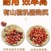 红枣去核开口机 去红枣核神器家用红枣夹核桃山楂去核 红枣去核器