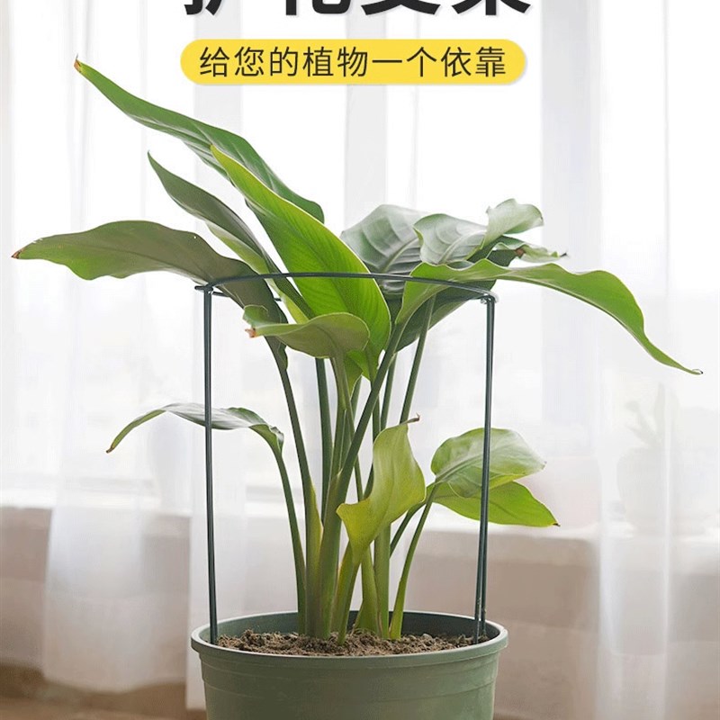 阳台固定花的防倒伏支架龟背芋支伸缩杆蟹爪兰兰花专用架子