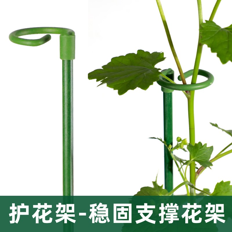 园艺支撑单杆室外花园月季爬藤种菜捆扎支架植物固定防倒伏花架子