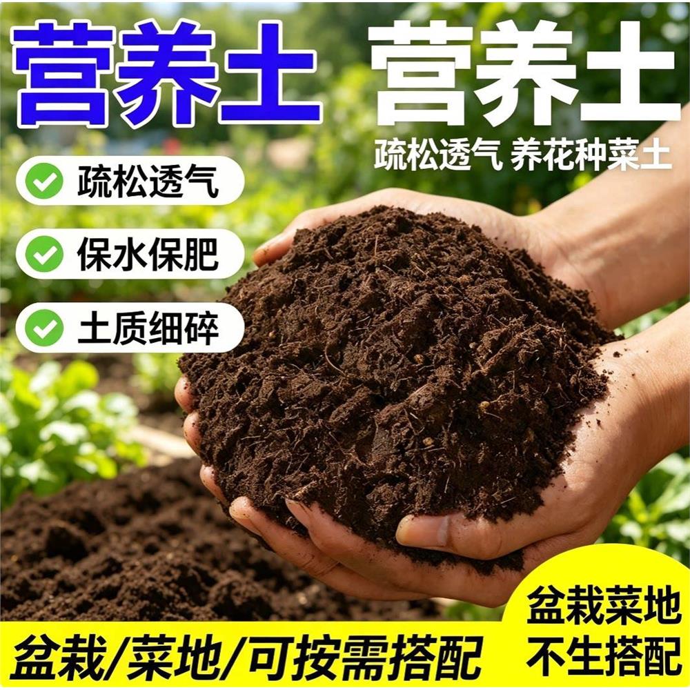 园艺营养土阳台家庭种花图片