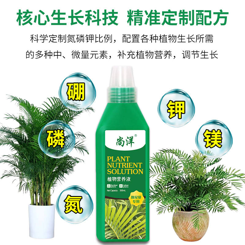 散尾葵肥料专用肥营养液室内水培凤尾竹袖珍椰子养花肥料盆栽通用