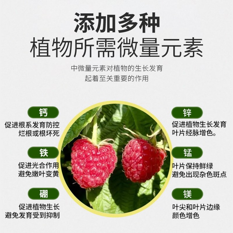 树莓肥料专用肥黑莓盆栽地栽有机促花促果结果复合浓缩果树营养液