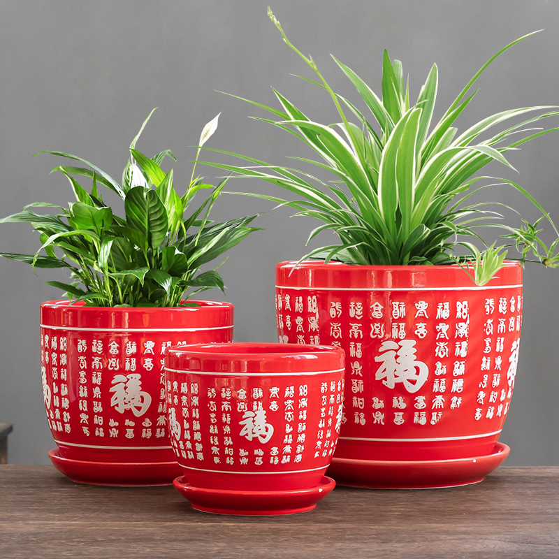 红掌花盆陶瓷大号客厅发财树盆景带托盘百家福创意家用吊兰兰花盆