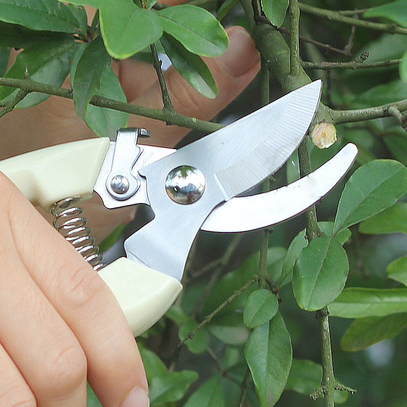 园艺修枝剪花剪刀家用省力树枝剪子果园粗枝剪多功能工具修花剪刀,鲜花速递/花卉仿真/绿植园艺,剪刀,淘宝优惠券,粉丝福利购,淘宝优惠卷