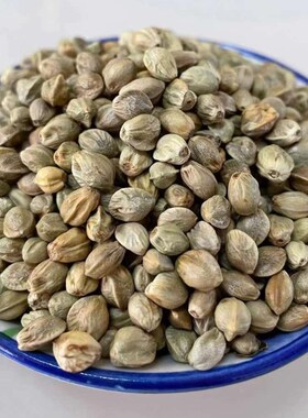 麻子鸟粮纸壳麻子大粒牡丹鹦鹉粮奖励零食油纸皮火麻籽鸽粮鸟食物