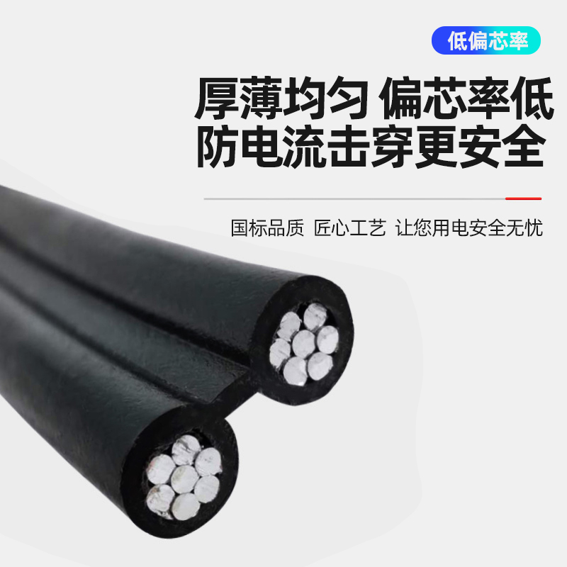 户外线国标铝2芯4 6 10 16 25平方3芯电缆铝线家用架空防老化电线