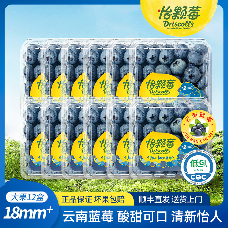怡颗莓云南蓝莓新鲜酸甜可口