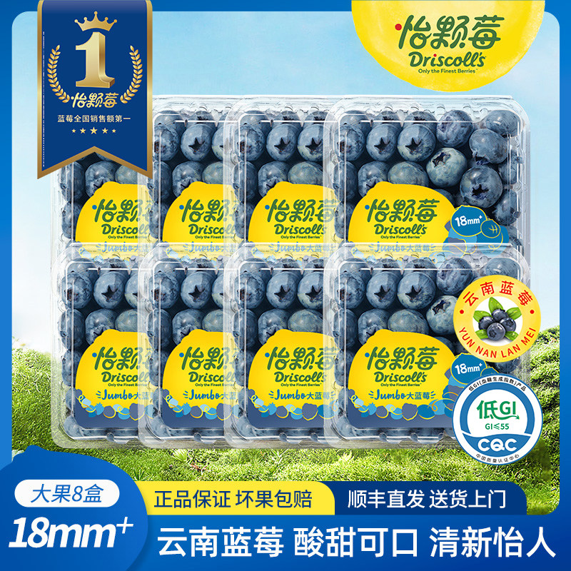 Driscoll's怡颗莓云南蓝莓花香酸甜大果125g/盒新鲜当季水果酸甜