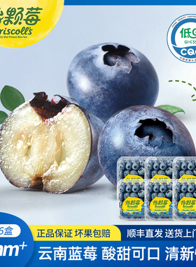 Driscoll's怡颗莓云南蓝莓 花香新鲜应季水果中大果125g酸甜可口