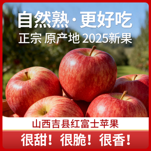 2025新鲜水果吉县苹果山西临汾特产红富士香脆甜多汁当季批发礼盒