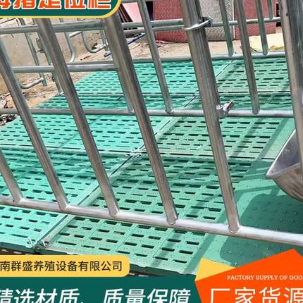 母猪定位栏限位栏猪圈栏位养猪用复合漏粪板母猪产床保育半限位栏