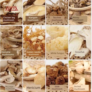 庆元特产百山祖山珍菌菇十八鲜礼盒 黑木耳香菇18种菌菇干货礼盒