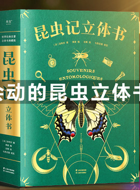 学习玩具益智3到6岁5小学生女孩子2024儿童网红爆款男童生日礼物