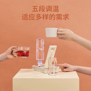美国卓朗即热式饮水机桌面饮水器台式便携式小型开水机家用热水机