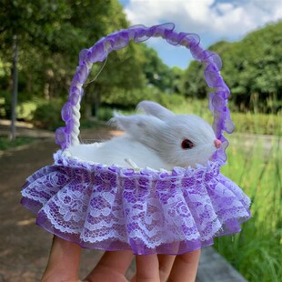 篮子里的小兔子花真兔具毛绒玩兔迷你仿篮L儿童节日礼品玩偶送女