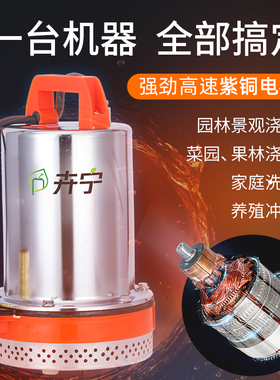 直流潜水泵12V24V48V60V伏电动车抽水N泵浇菜水泵浇水泵抽水机