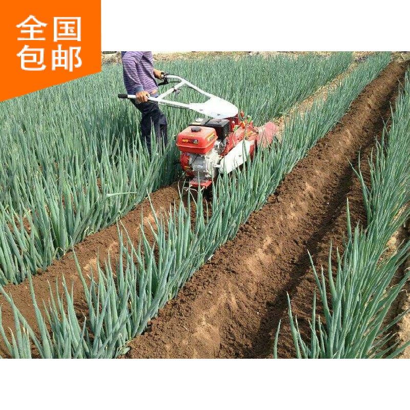 开沟培土机,大葱B封沟机,大葱培土机
