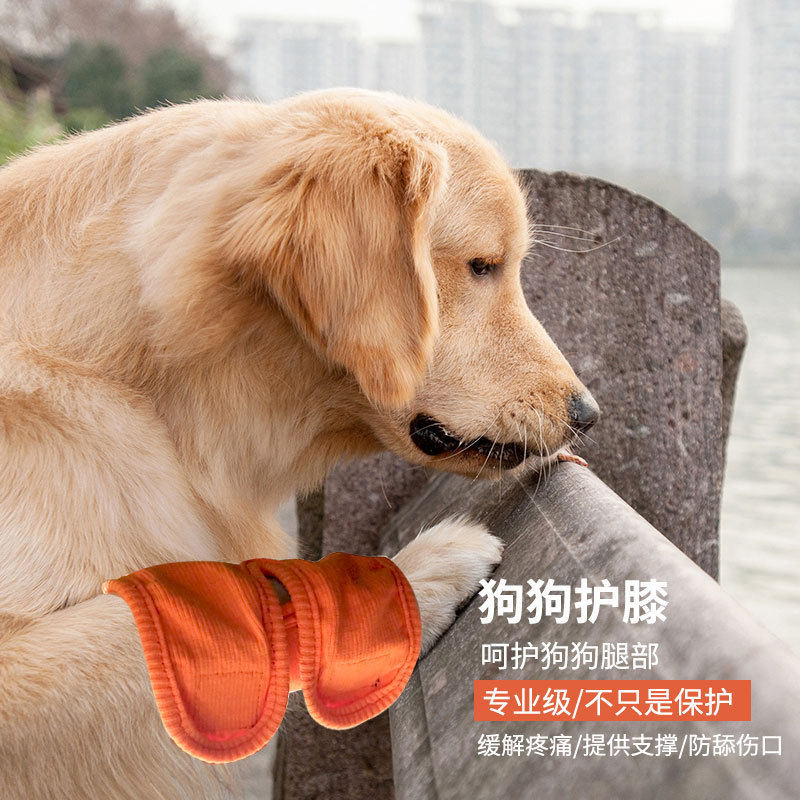 大狗护膝后关节护腿套恢复绑带支架腿G部保暖套魔术贴调节发热保