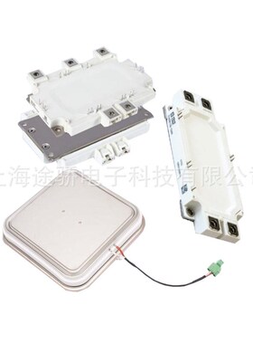 CRRC中车IGBT模块 TIM2400N2SM17-TSA000 TG1000HF17H1-S300