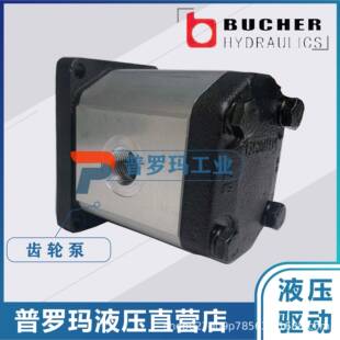 BUCHER布赫齿轮泵AP05/1.2D410AP05/0.9D410AP05/0.9D410