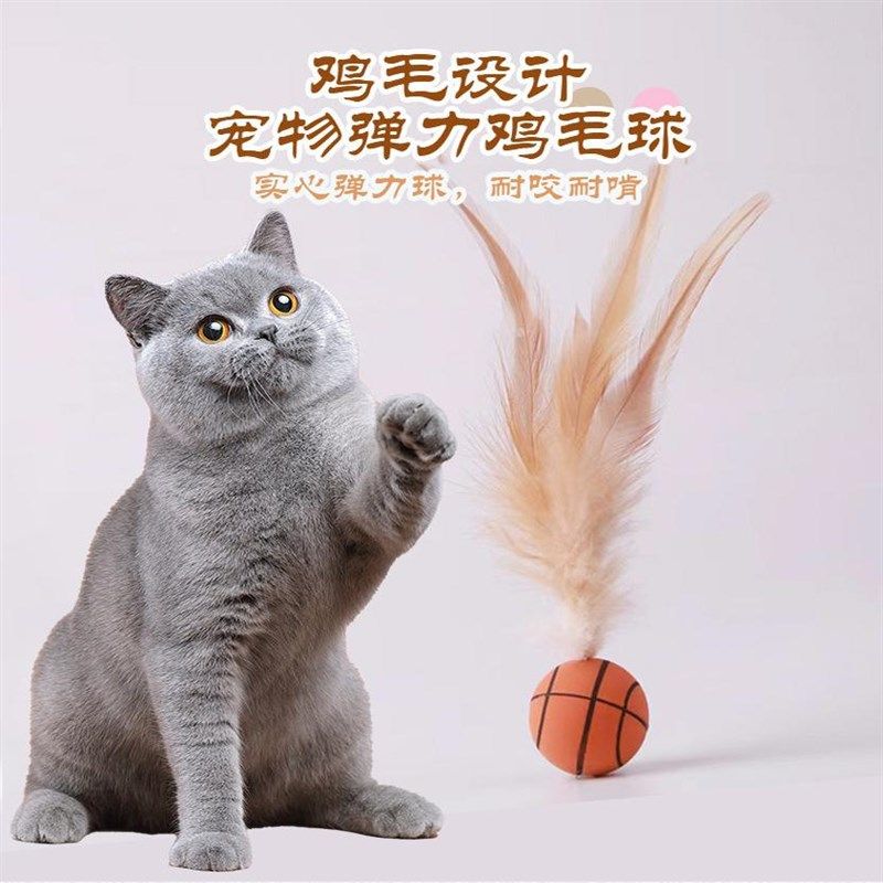 创意弹力球猫咪玩具球宠物球形玩具弹力球逗猫遛猫抛掷互动球,宠物/宠物食品及用品,橡胶球/球形玩具,淘宝优惠券,粉丝福利购,淘宝优惠卷