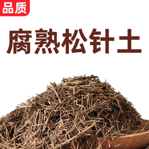 纯松针腐殖土君子兰专用土松针腐叶土腐熟透气兰花天然腐叶松针土