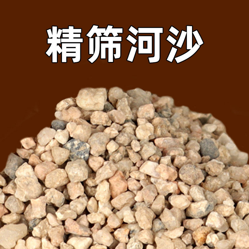 天然河沙沙子粗沙细沙沙土种花土壤种植土鱼缸底沙精筛沙石营养土