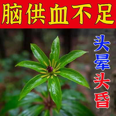 【头晕当天治】特效头晕眩晕膏药头昏头疼头晕站不稳缓解神器膏XH