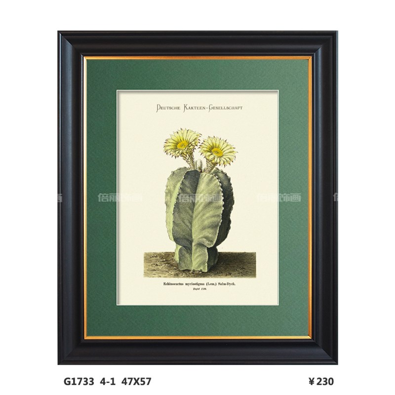 植物仙人掌四联组合客厅饭厅书房玄关卧室美式装饰画有框画挂画图片