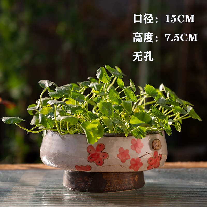 述息 无孔水培绿植陶瓷花盆花器铜钱草花瓶室内盆栽个性创意桌面