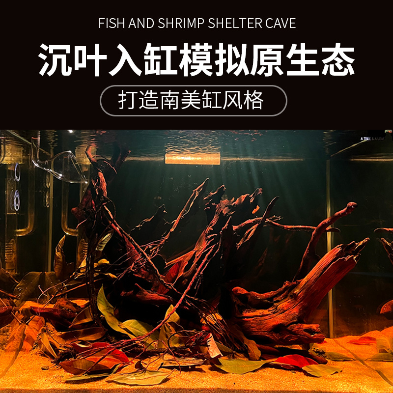 榄仁叶降酸调节Ph值水族橄榄叶龙眼叶造景懒人叶斗鱼乌龟稳定水质