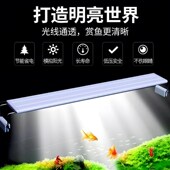 2024年新款 鱼缸造景热弯玻璃缸客厅小型桌面免换水生态迷你金鱼草