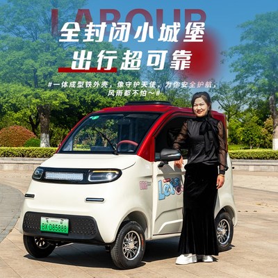 老头乐电动四轮车家用年人女封闭空调款油两用瓶小型接送孩子代步
