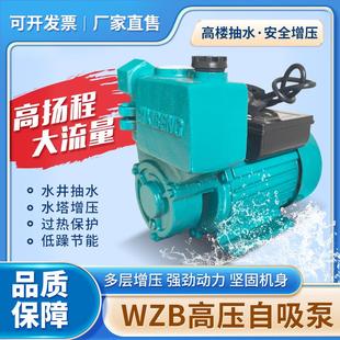 家用单相WZB自吸增压泵高扬程太阳能抽井水泵750W高楼管道循环泵