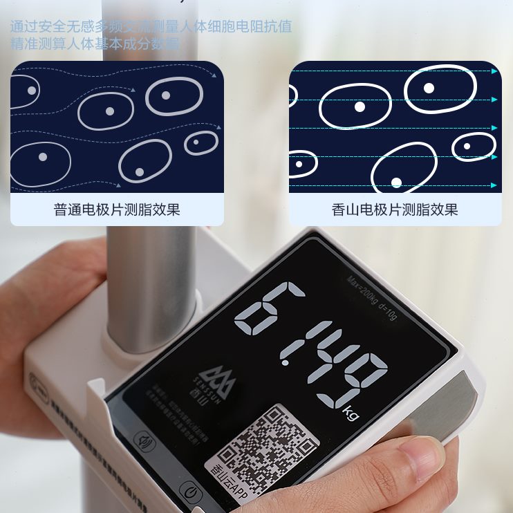 体重秤电子称一体机测量仪山精准体重秤/健康秤/体脂